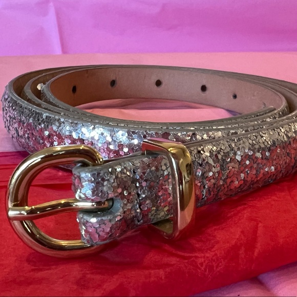 Silver Glitter J. Crew Belt